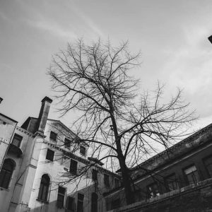 Fiftyfei Photography