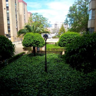 Dorita De Miguel Rubio
