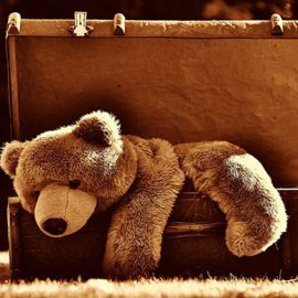 orsetto di peluche dentro ad un baule