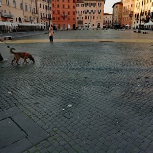 Pierfrancesco Dugoni Fotografie